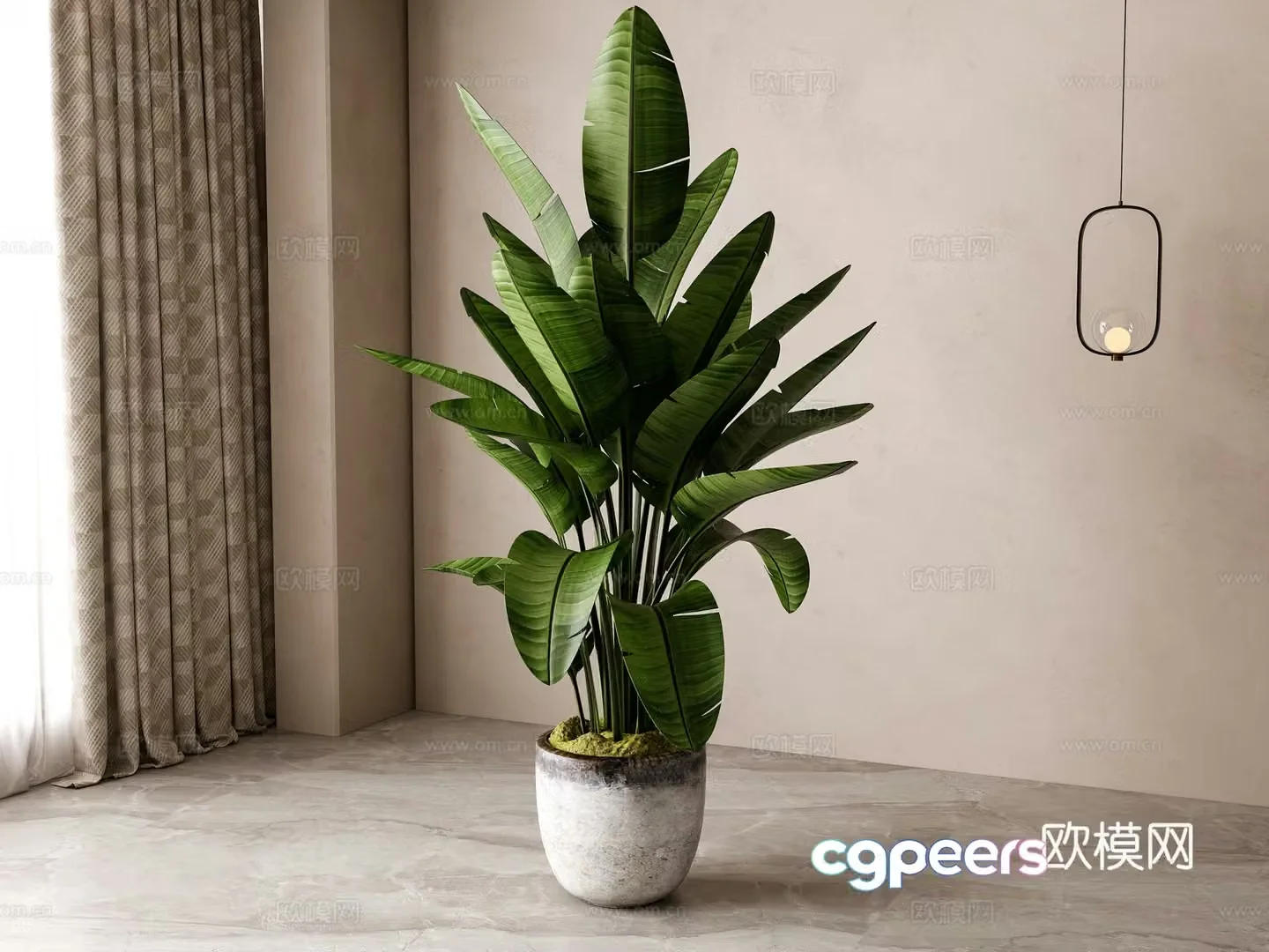 Modern green plant potted 3D model