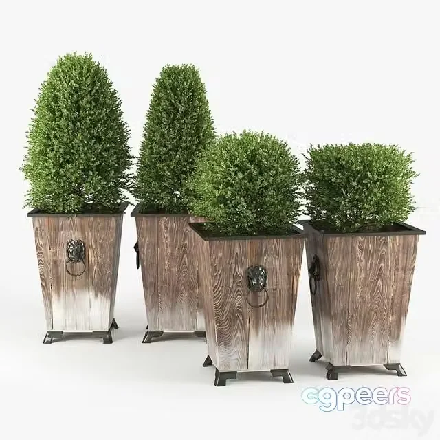 3ds Max Free – BOXWOOD TOPIARY (with knocker)
