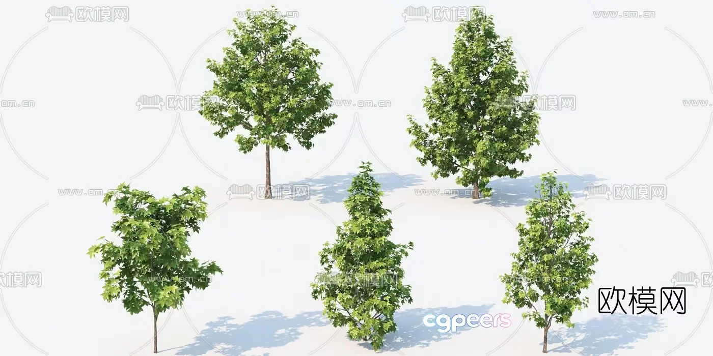 Trees With Green Leaves 3D Model – 16359 – VRAY Render