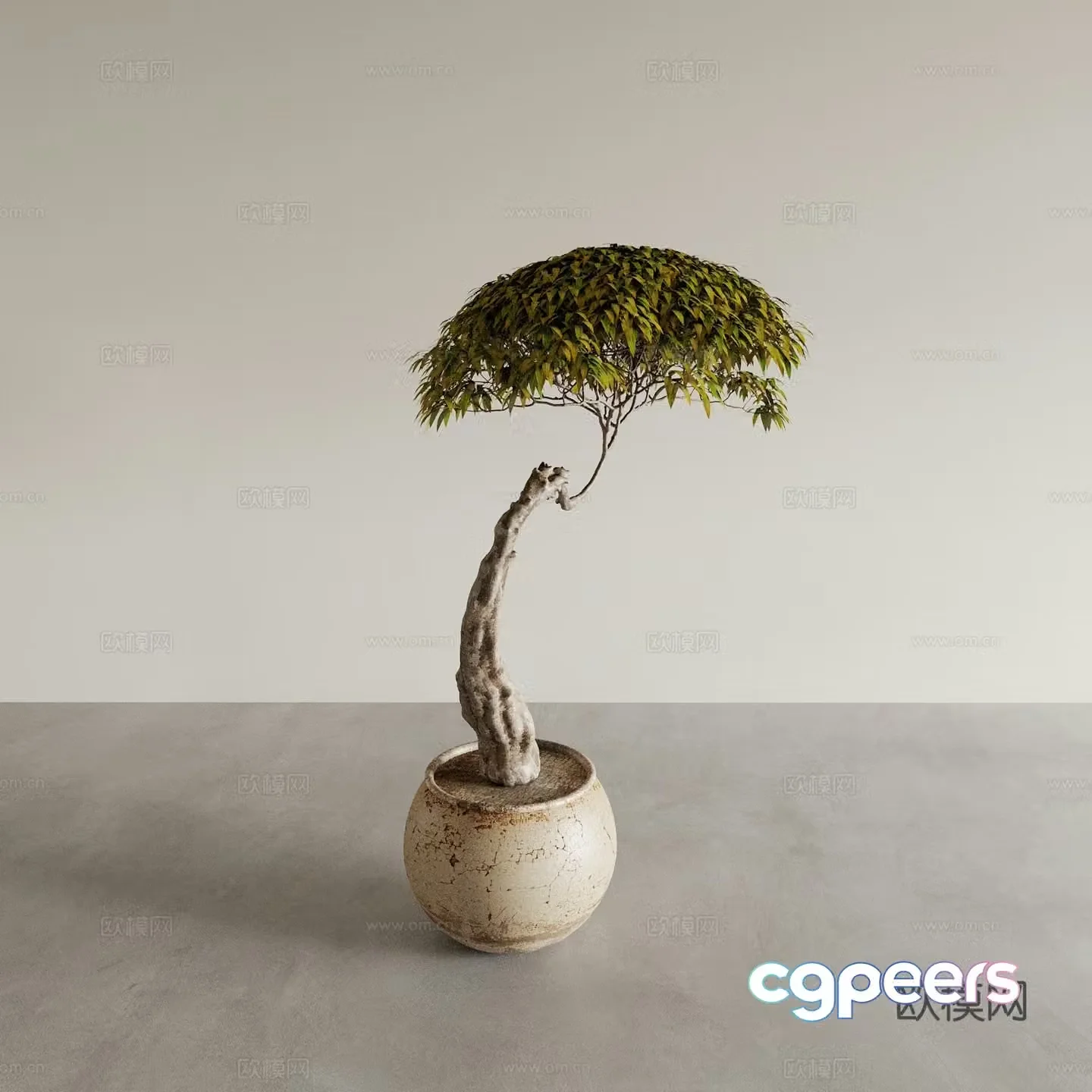 Bonsai pots indoor green plants plant ornaments plant flower pots vase flower pots 3D model