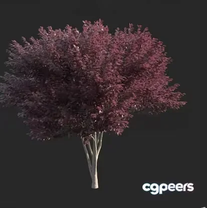 A Tree With Pink Leaves 3D Model – 17846 – VRAY Render
