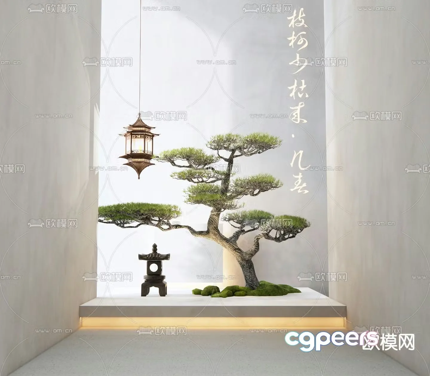 Indoor landscape pine tree landscaping 3d model