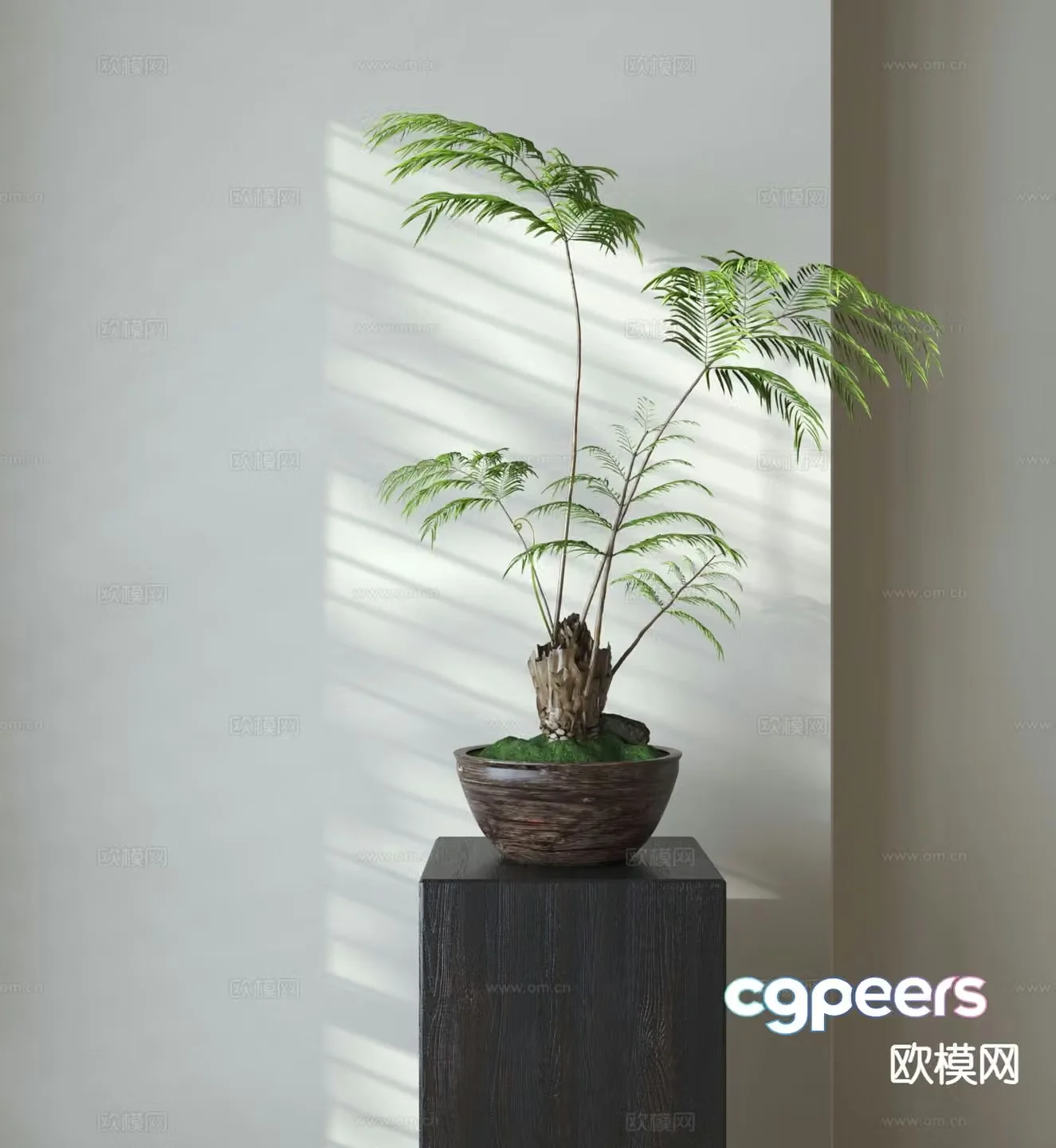 Fern potted plant plant potted plant 3d model