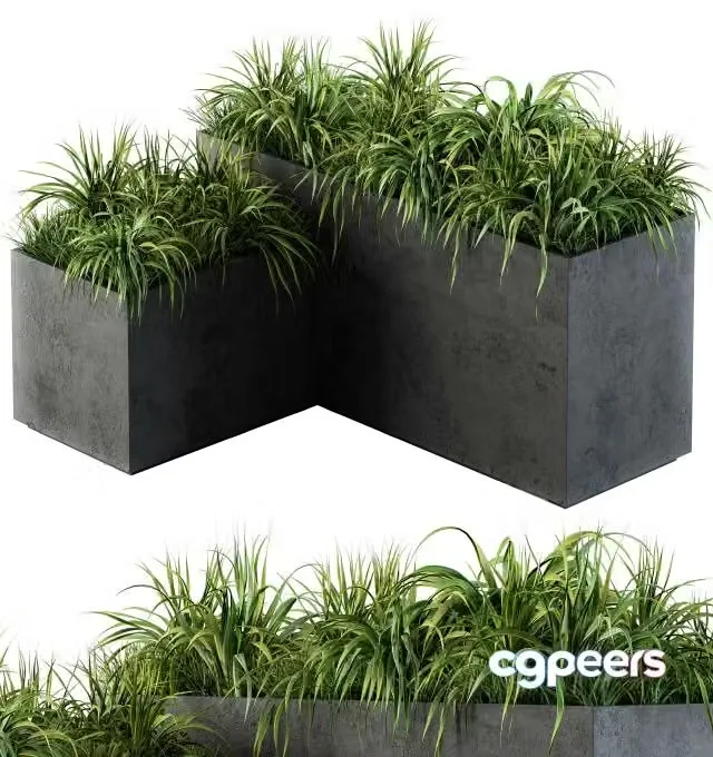 3ds Max Free – Outdoor Concrete Plant Box with Cereals and Green Grass
