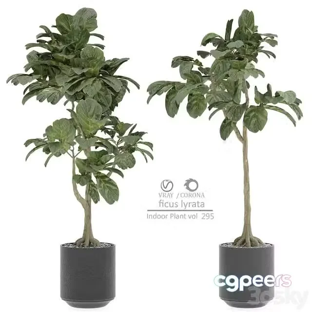 3ds Max Free – indoor Plant 295