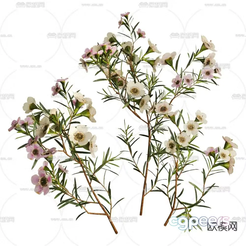 Flowers and plants bushes green plants 3d model