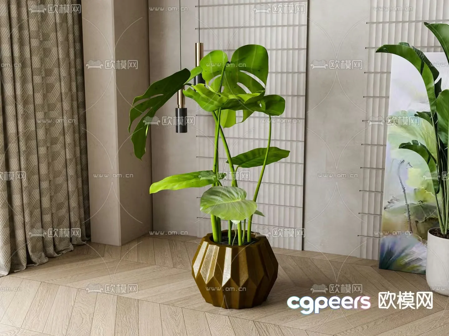 Turtle Leaf Green Plant Potted 3D Model