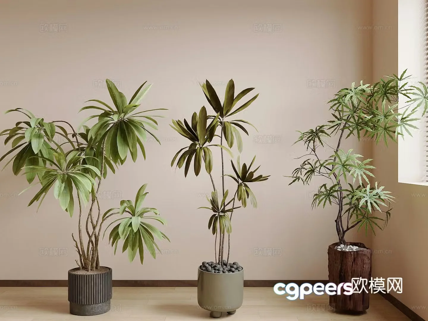 Potted plants Green plants combination Potted plants combination 3D model