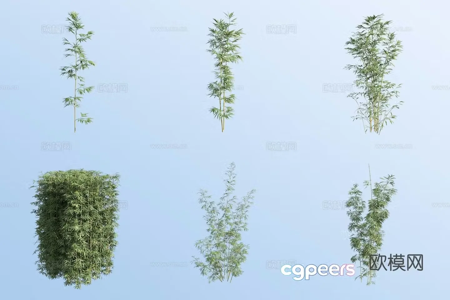 Phoenix tail bamboo 3d model