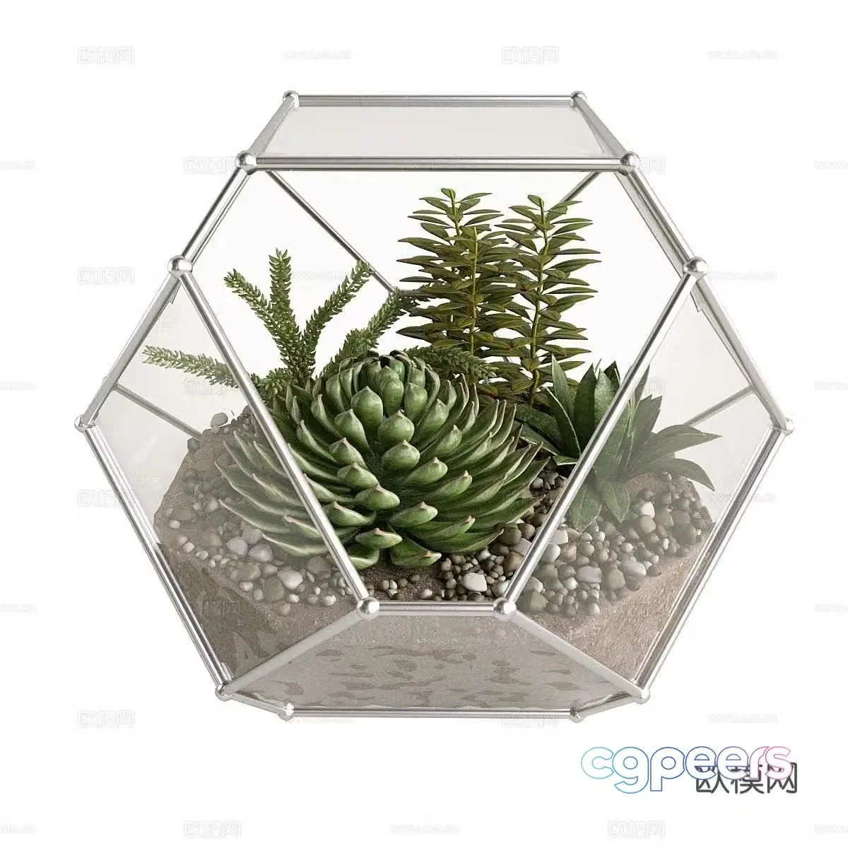 Modern potted plants green plant decorations green plant decorations potted bonsai cactus plant accessories 3d model