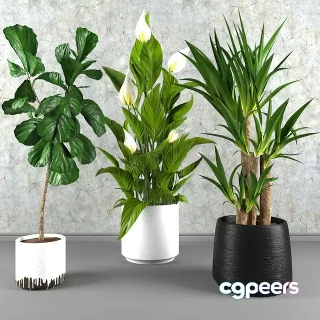 3ds Max Free – Contemporary houseplant set 3