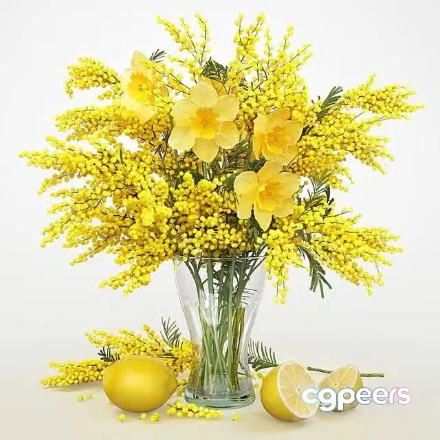 3ds Max Free – Mimosa_2