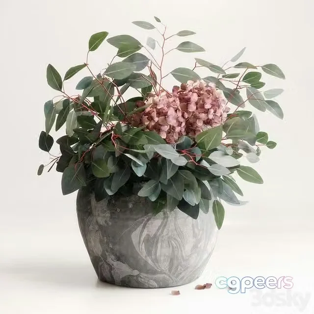3ds Max Free – Bouquet of Eucalyptus with Hydrangea