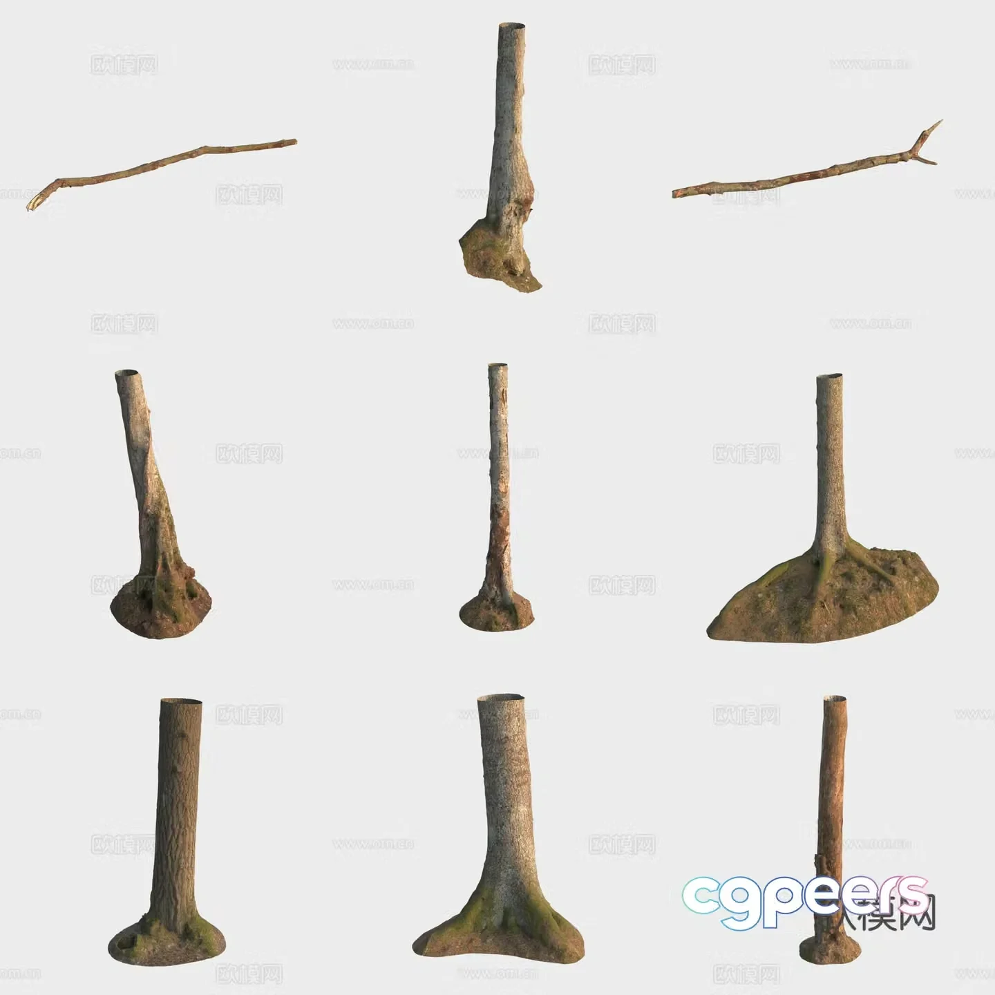 3d model of trunk branches stump