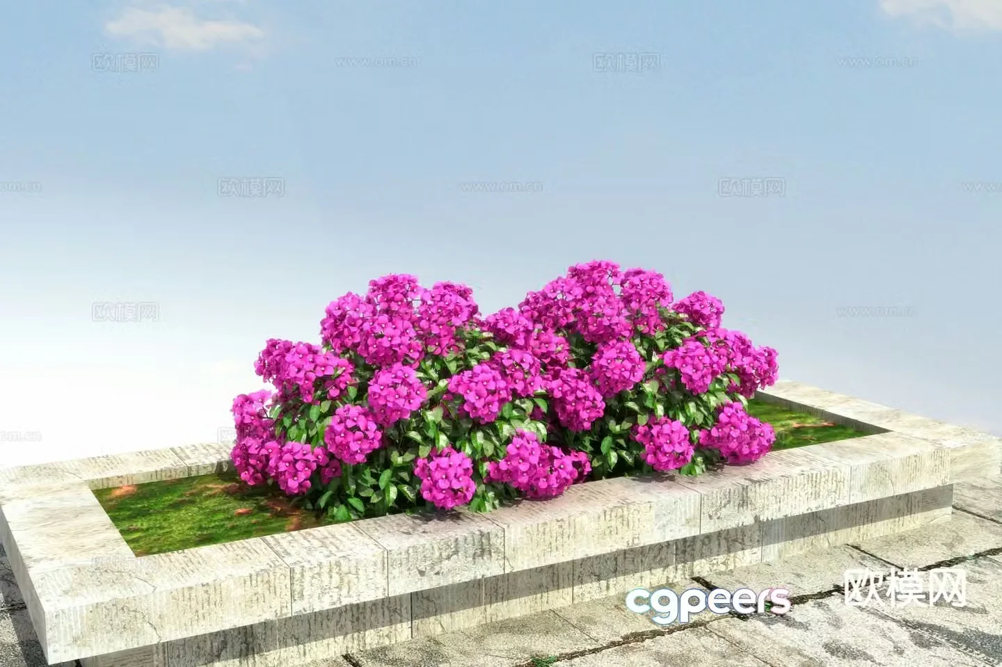 Vine-shaped shrub leaves and flowers 3d model