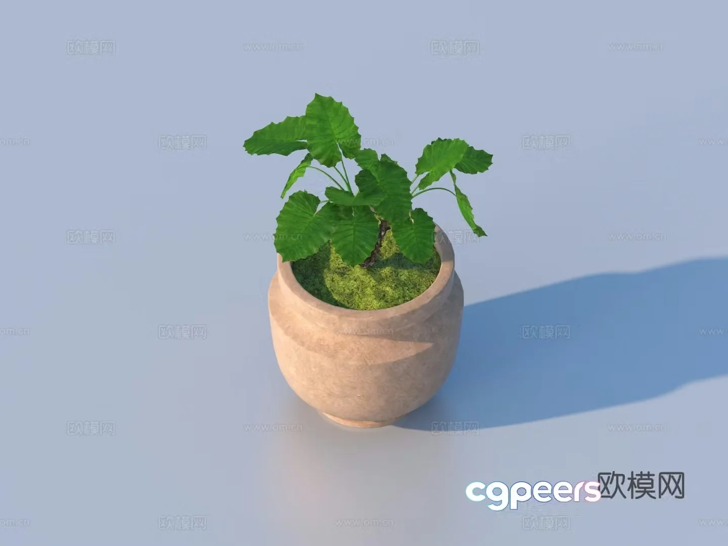 flowerpot potted plant green plant plant 3d model