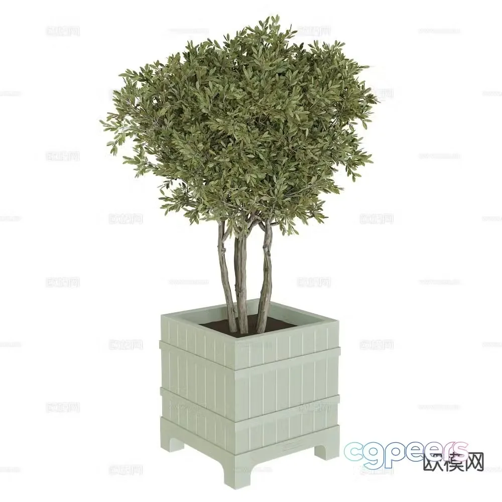 Serralunga potted bonsai 3d model