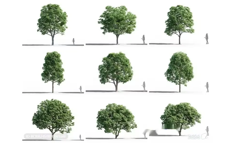 Trees With People Walking Around Them 3D Model – 8834 – VRAY Render
