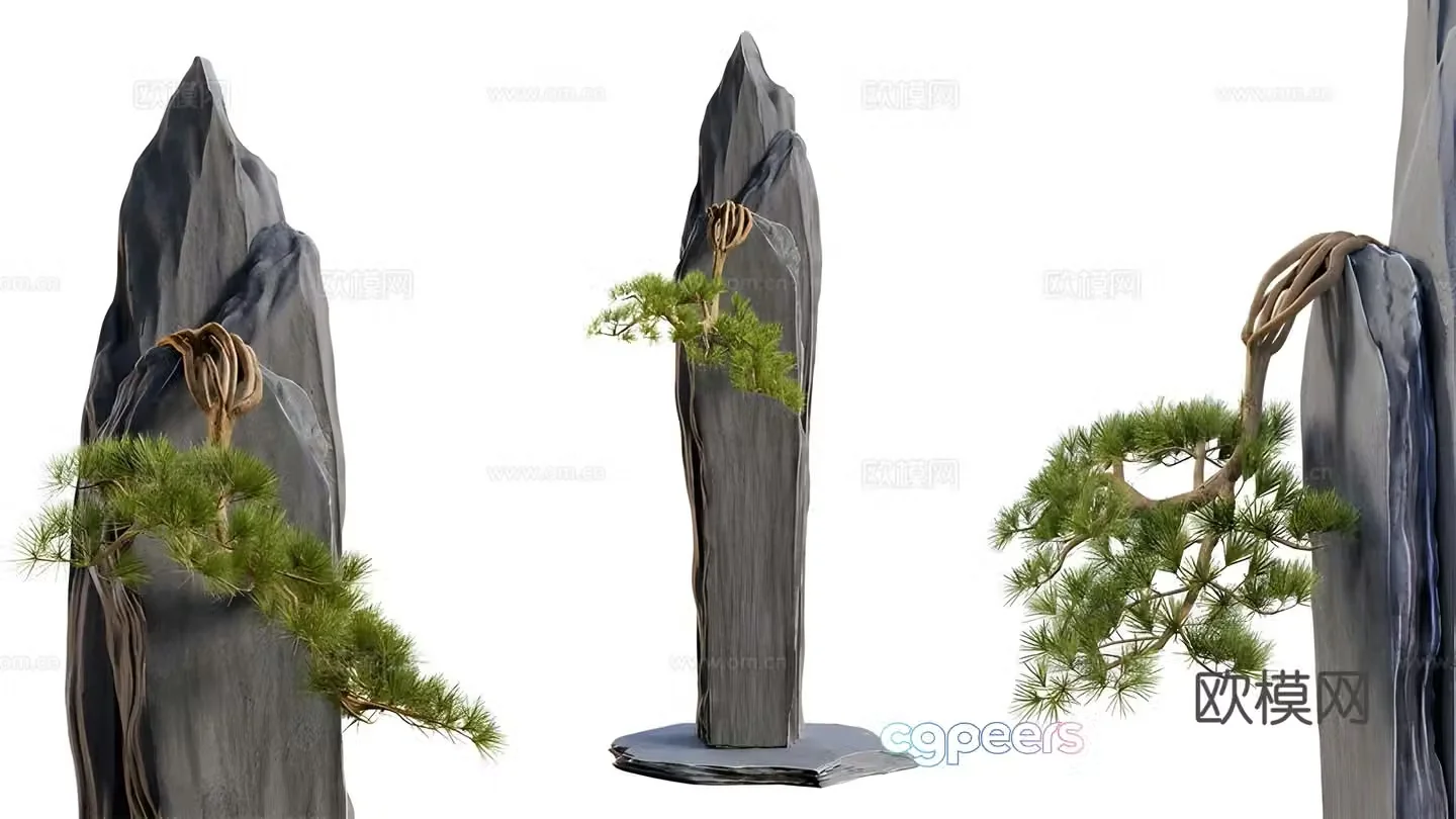 Pine tree 3d model