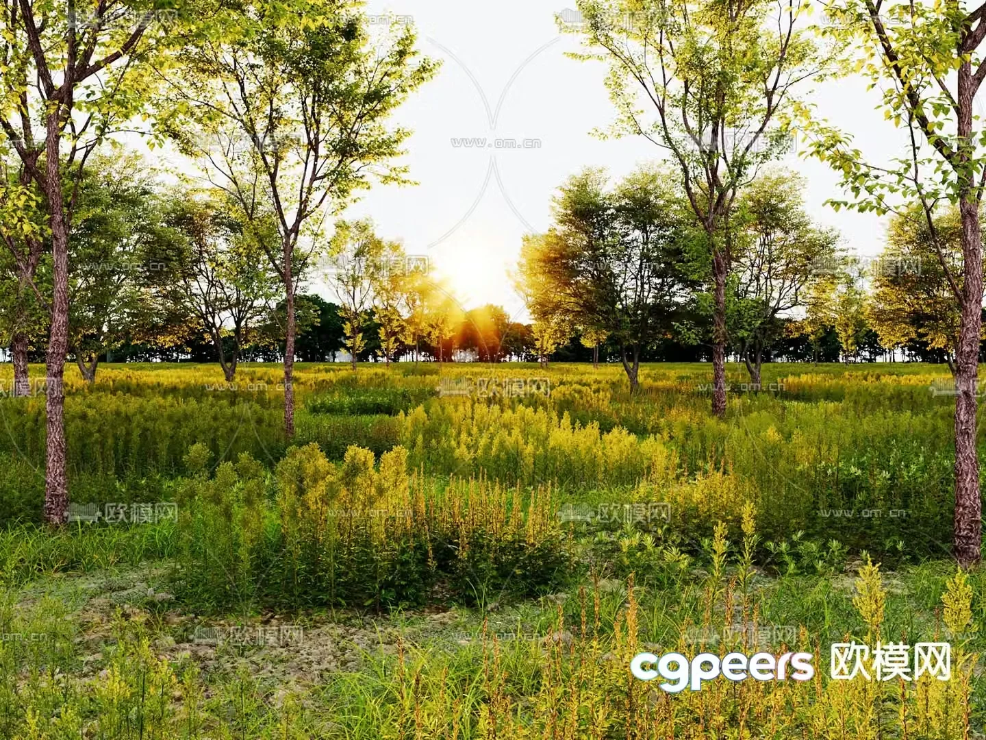Garden landscape flowers shrubs landscape trees 3d model