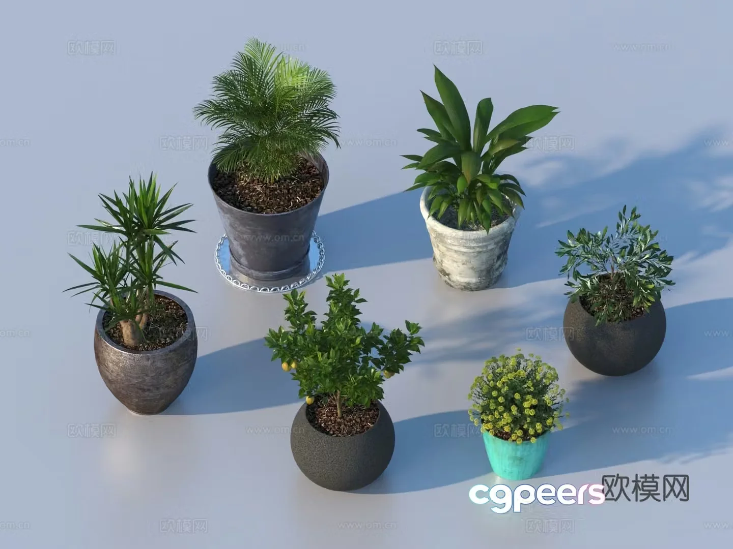 flowerpot potted plant green plant plant 3d model