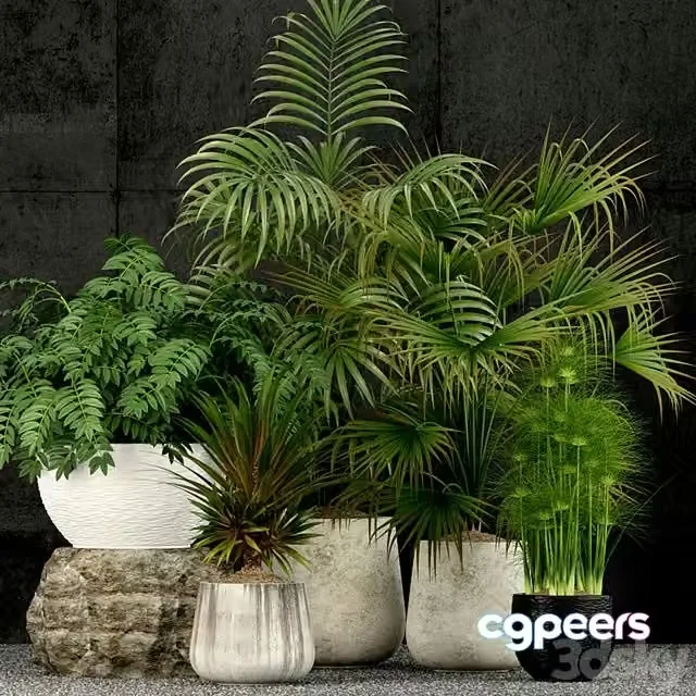 3ds Max Free – Plants collection 53