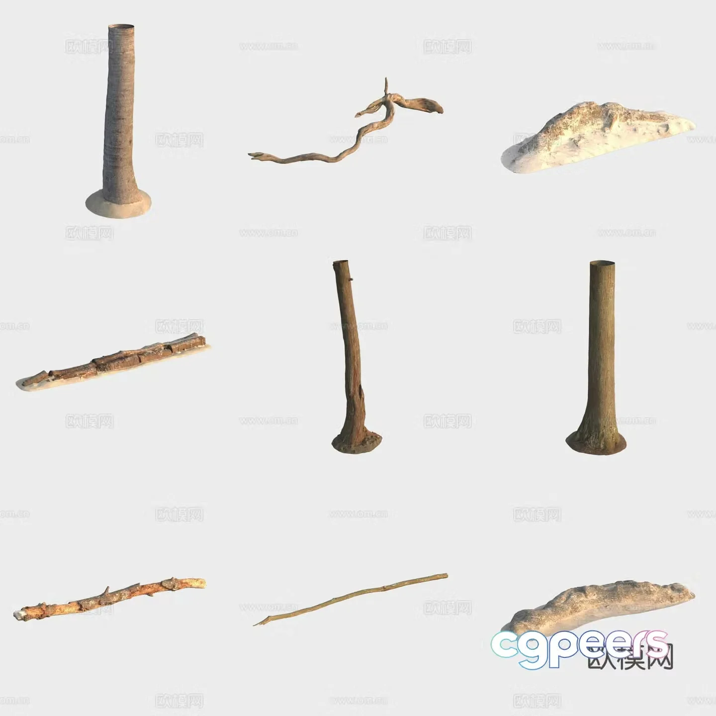 3d model of trunk branches stump