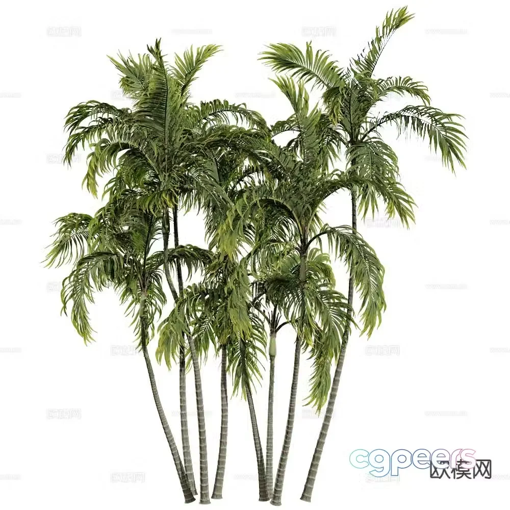 Modern beach tree coconut tree 3d model