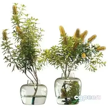 Two Glass Vases 3D Model – 144 – VRAY Render