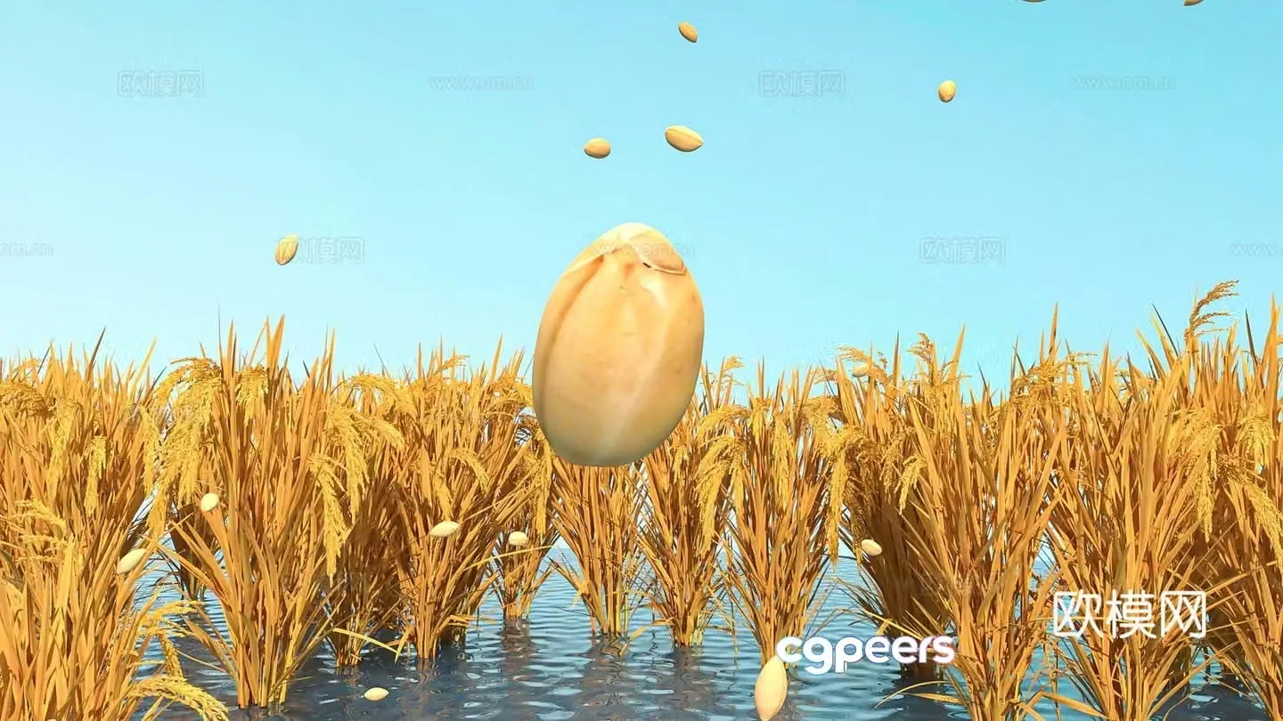 Farmland rice and rice landscape wheat rice fields 3D model