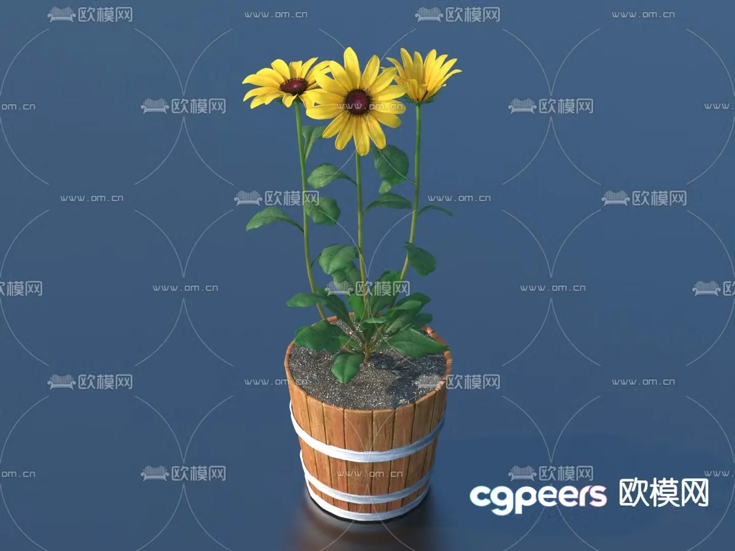 Flower pot pot green plant 3d model
