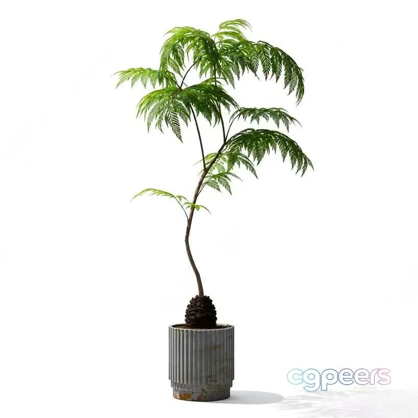 A Potted Plant 3D Model – 9010 – VRAY Render