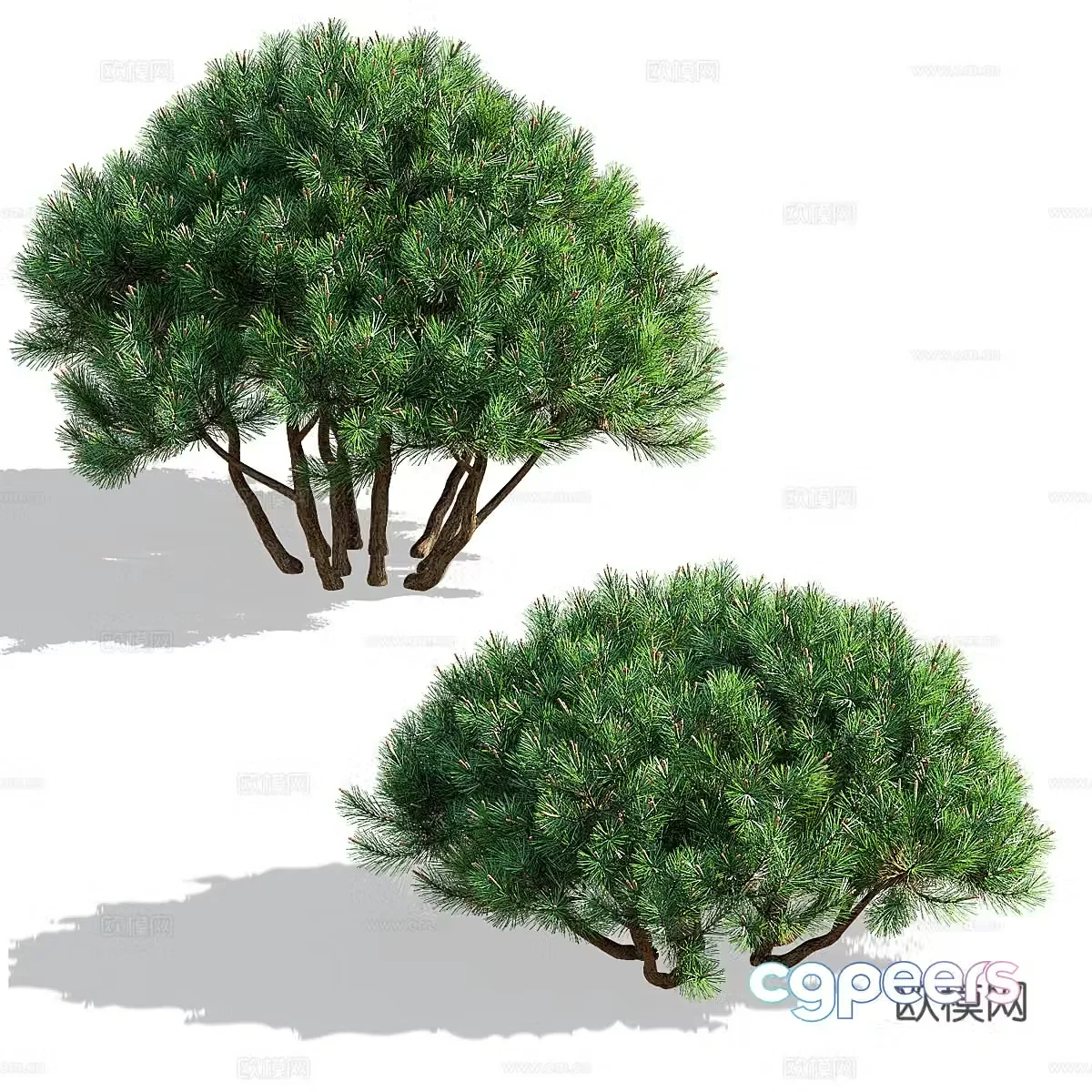 Shrub Landscape Tree Pine Tree 3D Model