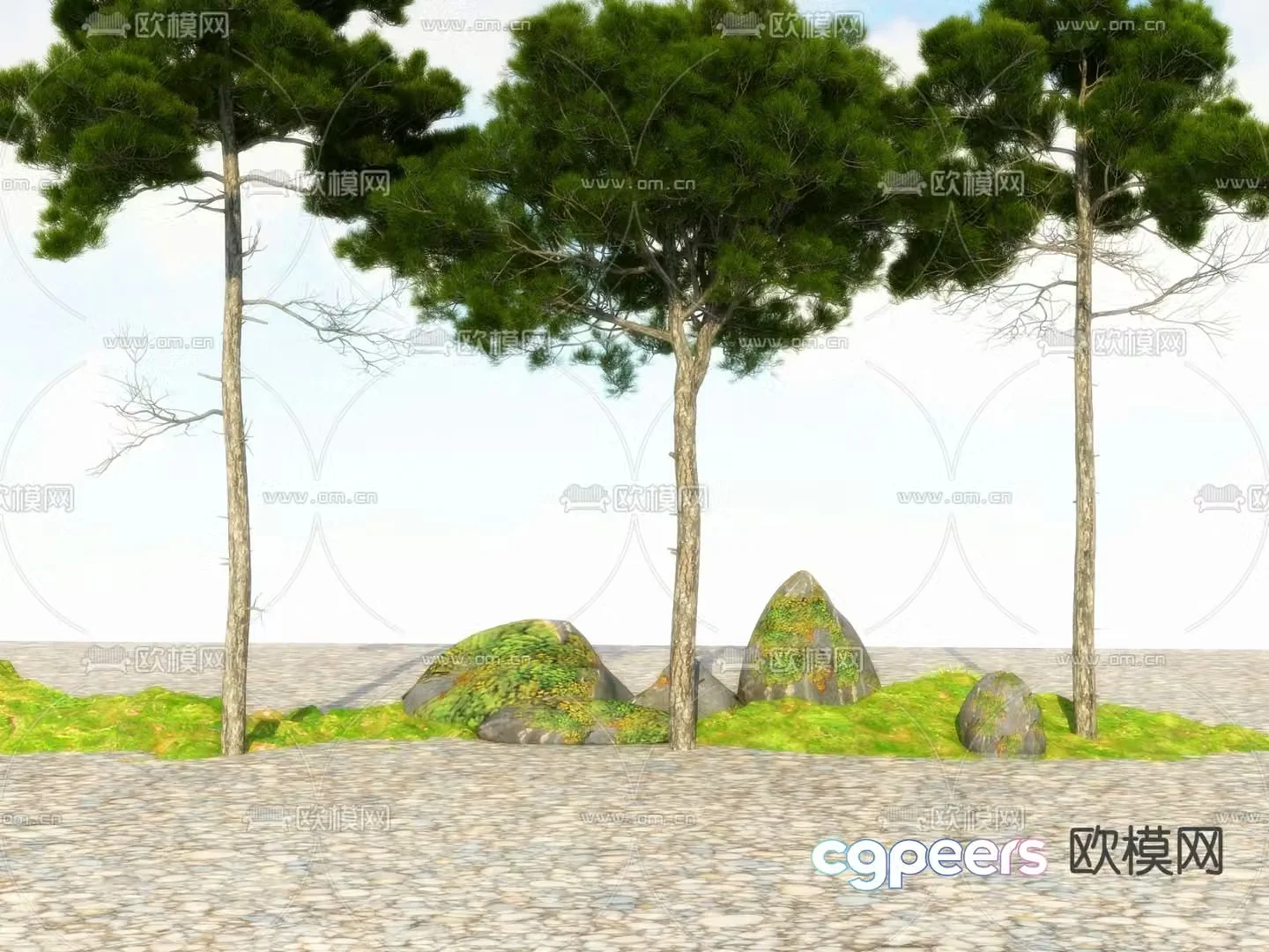 Big tree Tree Landscape tree 3d model