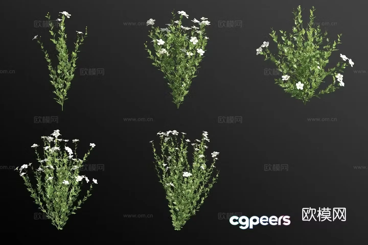 Big poppy flower grass 3d model