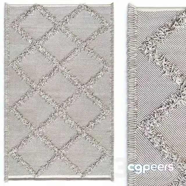 3ds Max Free – Carpet nuLOOM Devon Diamond Trellis Tassel Shag Rug