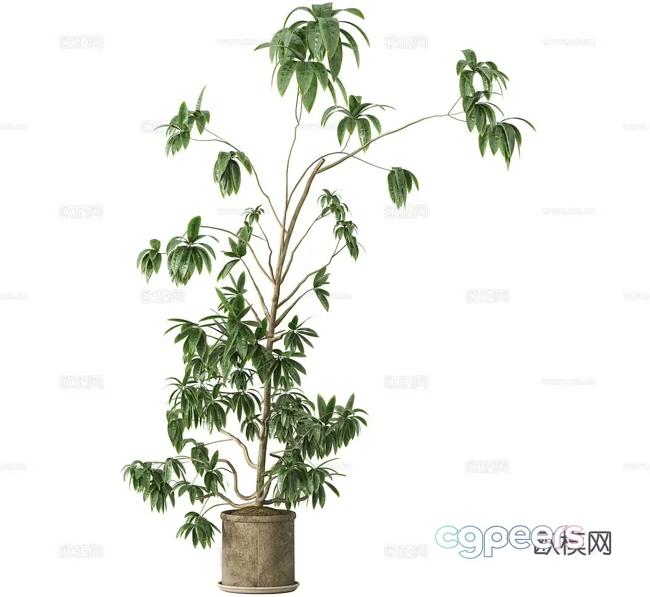 Green plant potted plants Decorative green plants Balcony green plants Outdoor green plants Indoor green plants Flooring 3D model