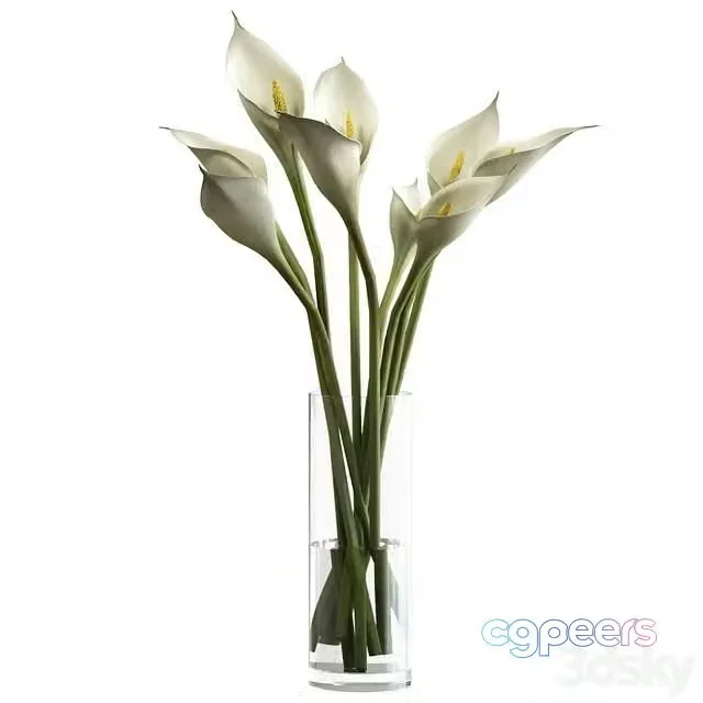 3ds Max Free – Bouquet of calla lilies in a vase