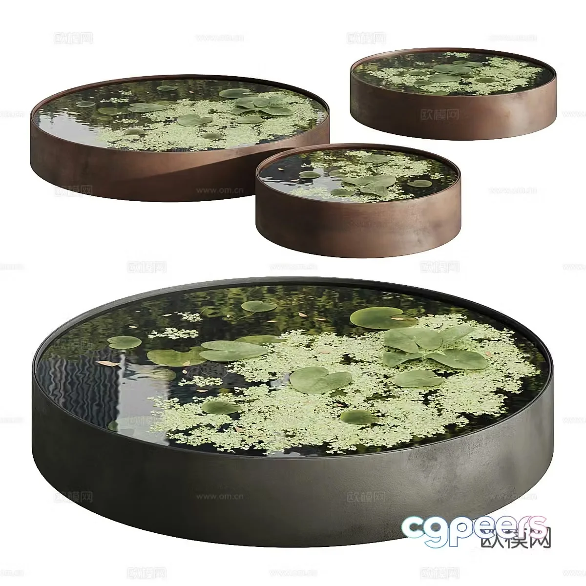 Garden pond water lily duckweed 3d model