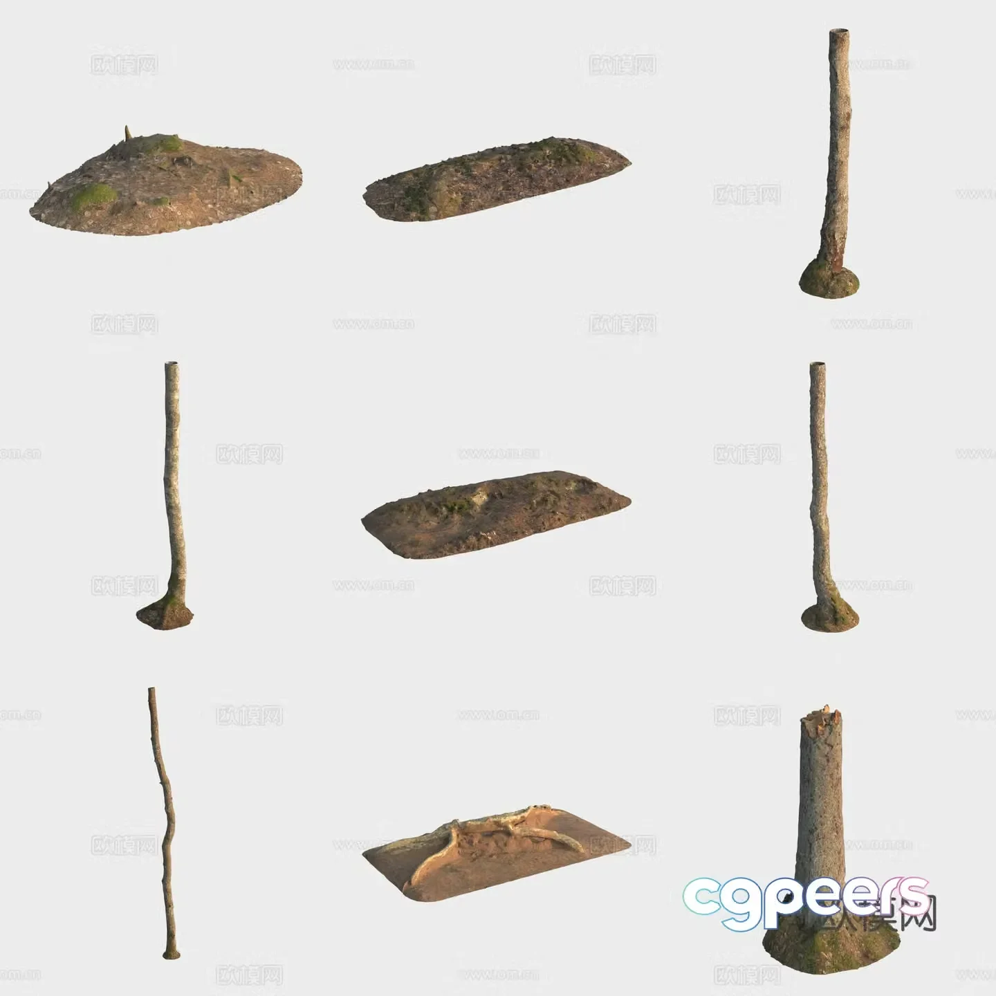 3d model of trunk branches stump
