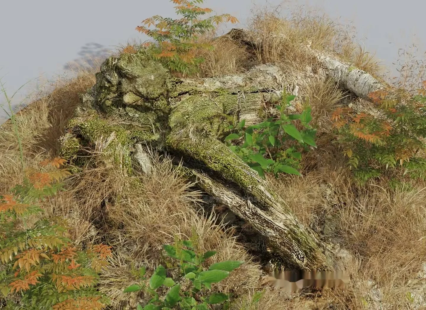 A Moss-Covered Tree Trunk 3D Model – 10121 – VRAY Render