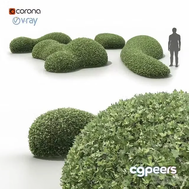 3ds Max Free – Topiary bushes