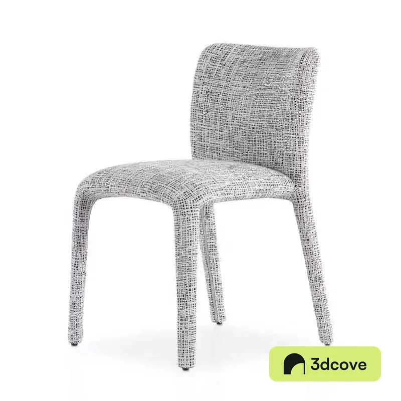 Modern Dining Chair