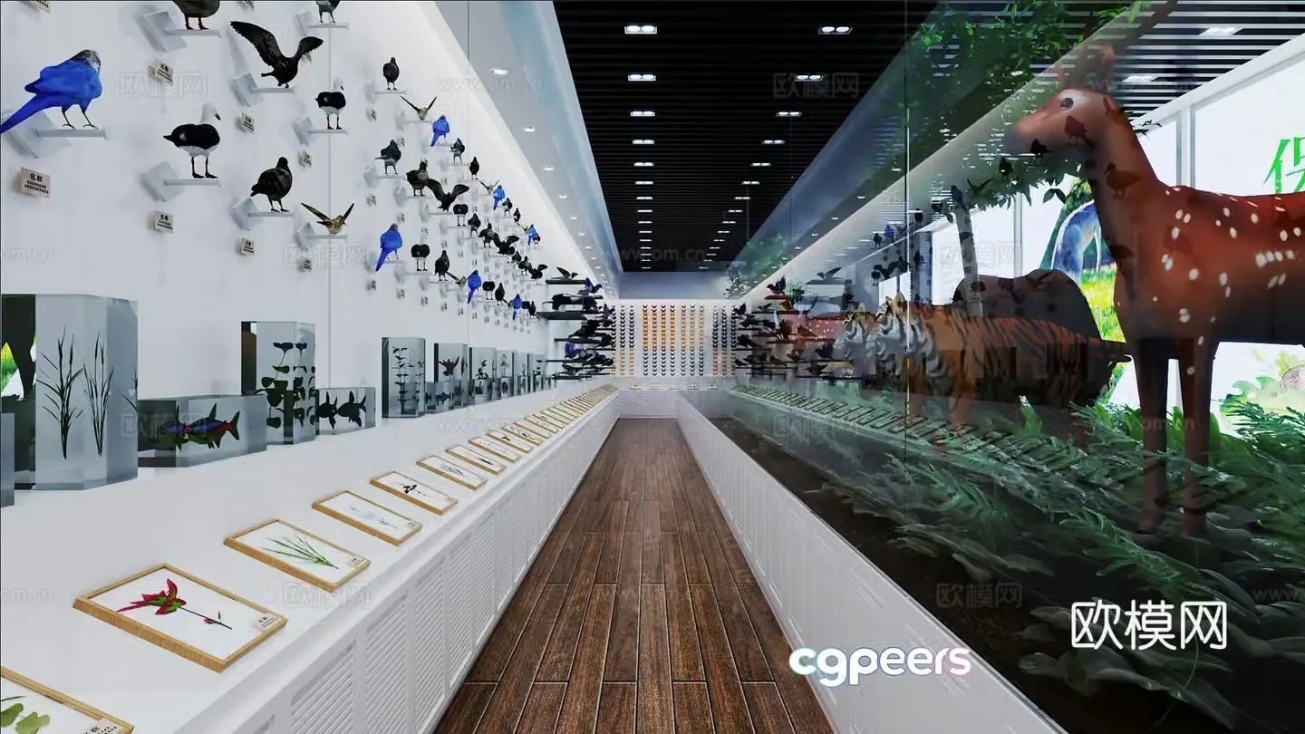 Modern museum specimen exhibition hall 3d model