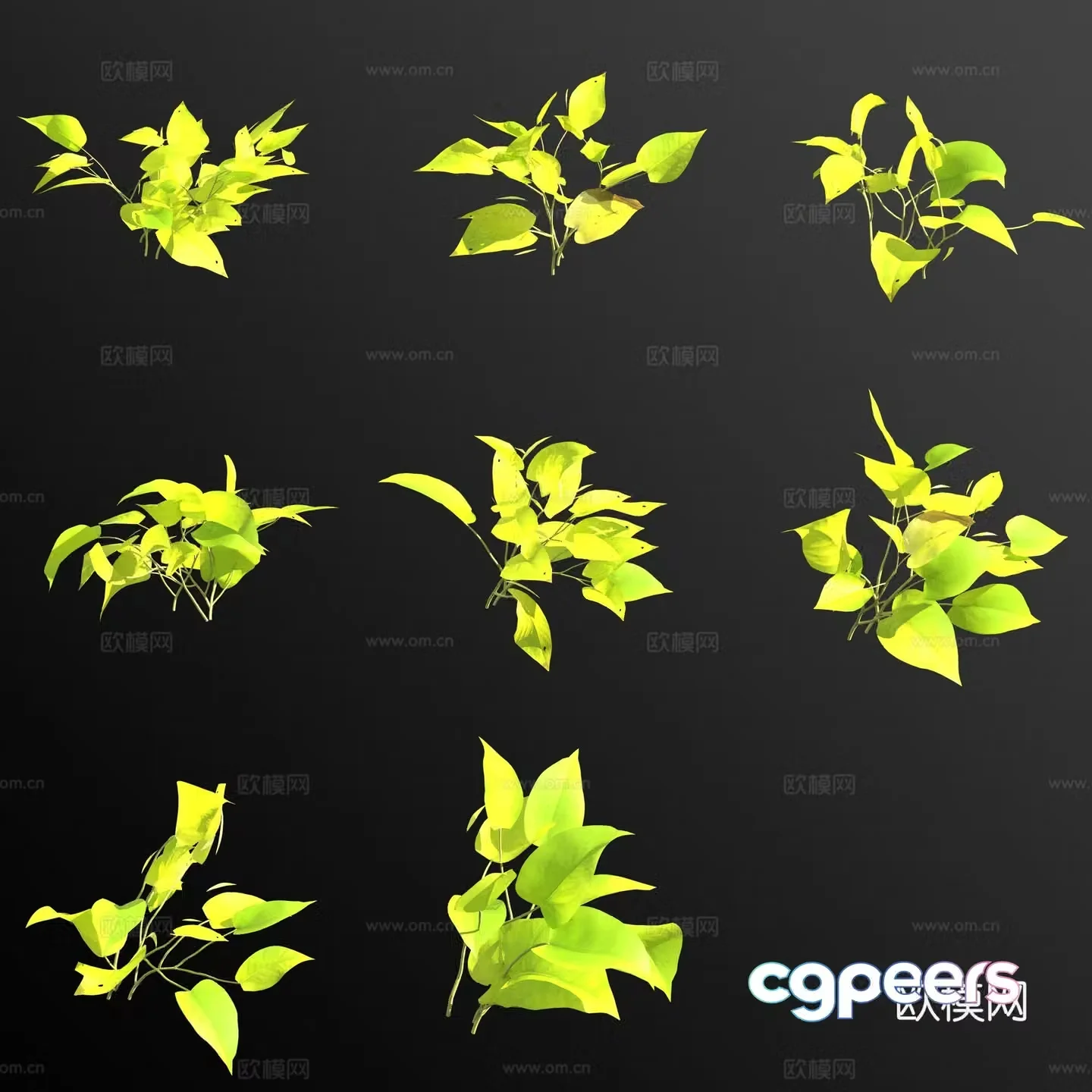Pothos neon green plants and flowers 3d model
