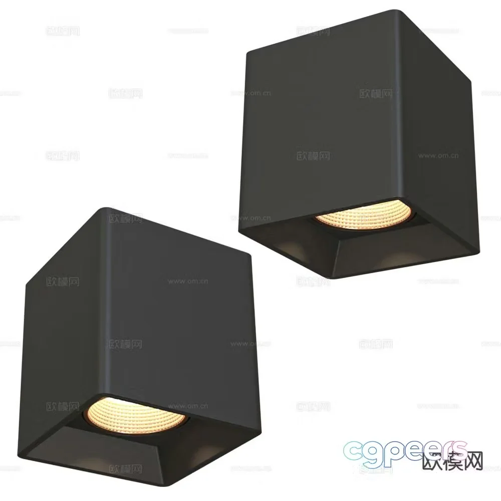 DENKIRS surface mounted downlight spotlight 3d model