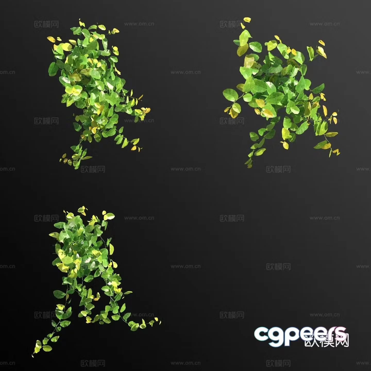 Emerald ficus flower grass 3d model