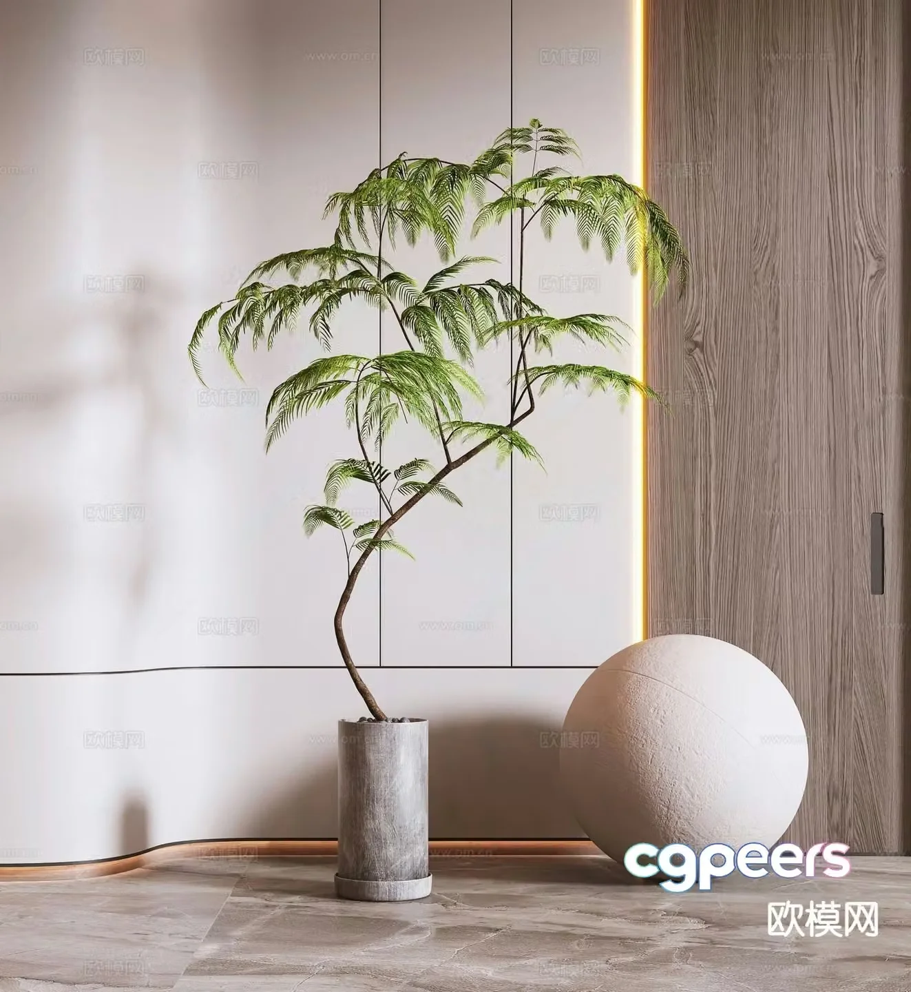 Fern green plants potted plants 3D model