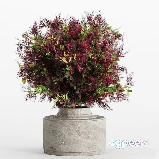 3ds Max Free – Bouquet 7