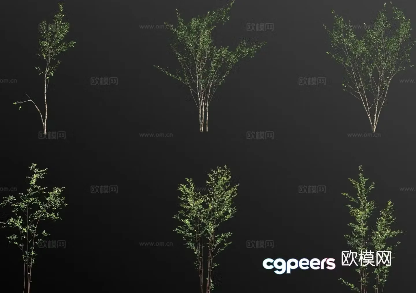 landscape tree arbor trees small tree 3d model